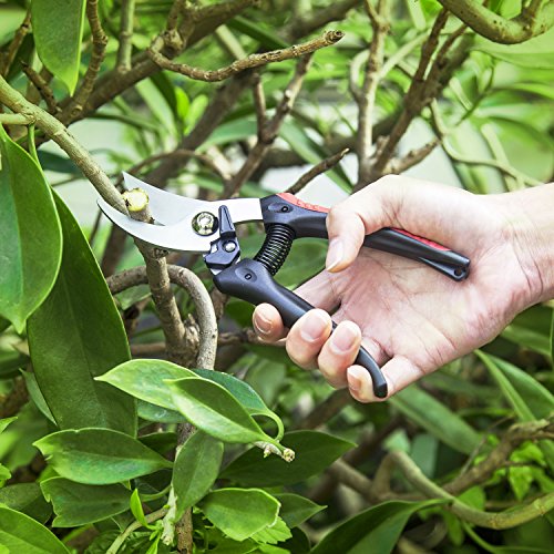 Pruning Shearss Professional High Carbon  Steel Sharp Blade Bypass Hand Pruner Garden Shears