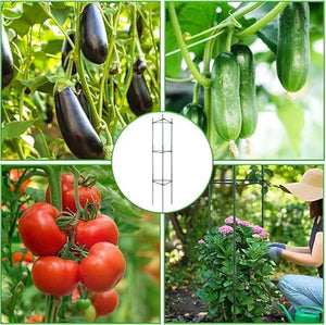 2 Sets Tomato Supports Cages,Cucumber Cage for Garden Plant Support, Multifunctional Plant Cages Tomato Trellis Stake with Adjustable Arms