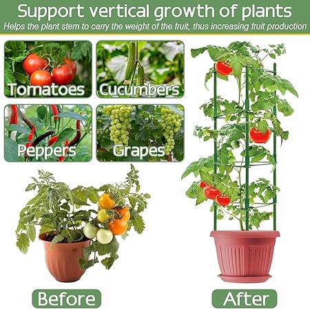 2 Sets Tomato Supports Cages,Cucumber Cage for Garden Plant Support, Multifunctional Plant Cages Tomato Trellis Stake with Adjustable Arms