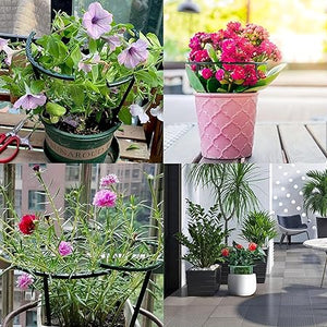 10 Pack Plant Stand, Plastic Plant Support Stakes, Half Round Ring Plastic Cage Holder Flower Pot Climbing Trellis for Indoor and Outdoor Leafy Plants