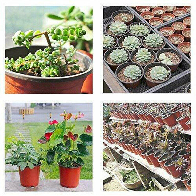 100x Plastic Plant Flower Garden Pots Nursery Seedlings Pot Growing Container AU