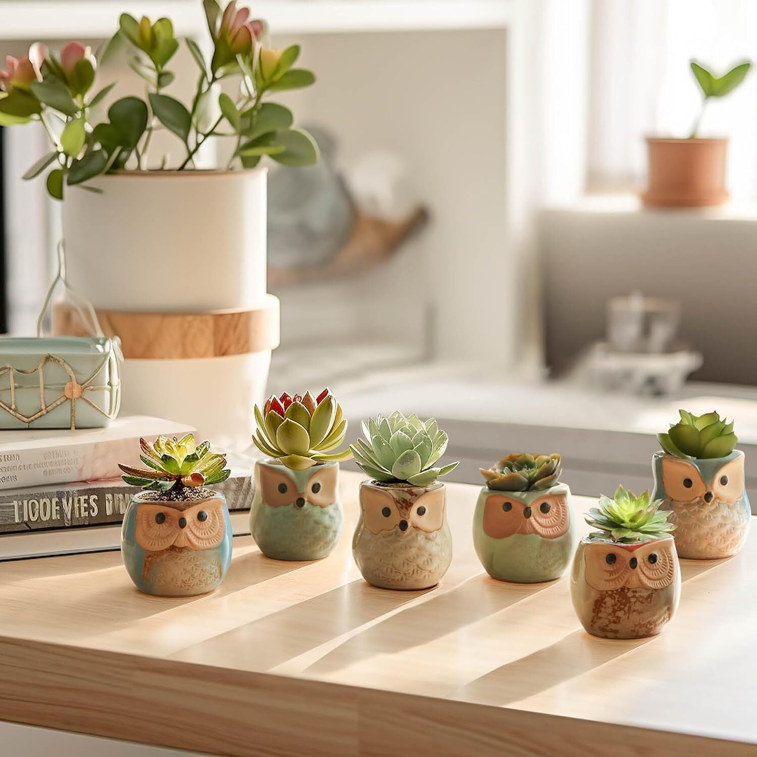 Set of 12  Owl Ceramic 2.5 Inch Succulent Planter Pots with Drainage Hole