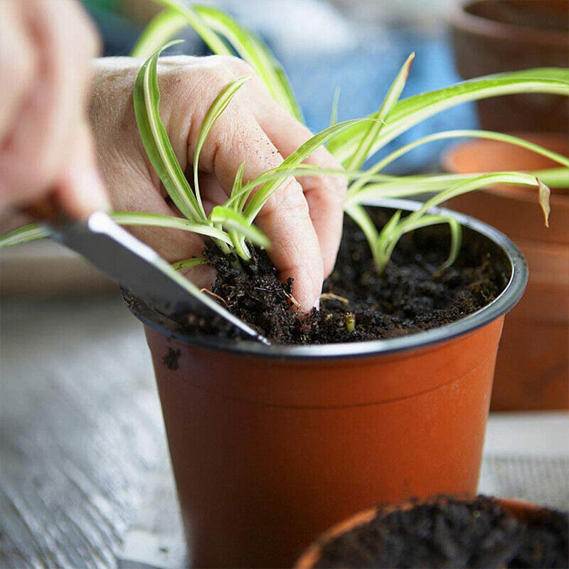 100x Plastic Plant Flower Garden Pots Nursery Seedlings Pot Growing Container AU