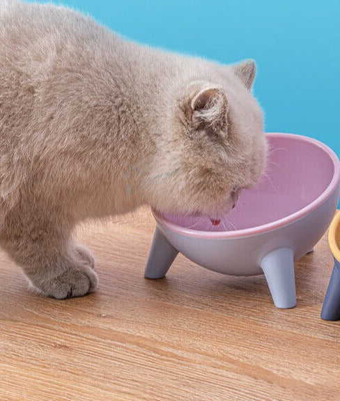 Raised Cat Bowl Pet Feeder Pet Bowl Elevated Dog Bowls 15° Tilted Pet Water Bowl