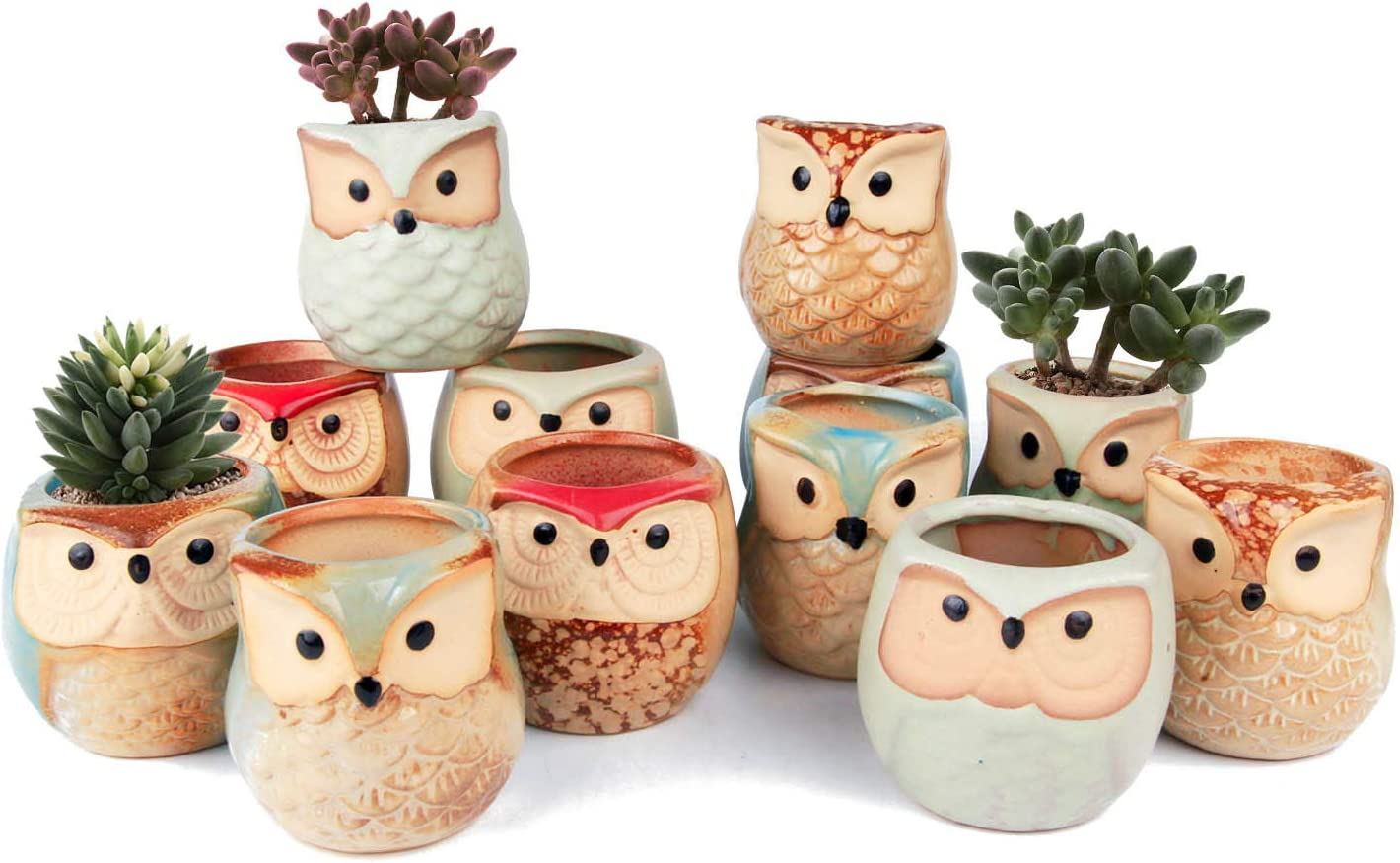 Set of 12  Owl Ceramic 2.5 Inch Succulent Planter Pots with Drainage Hole