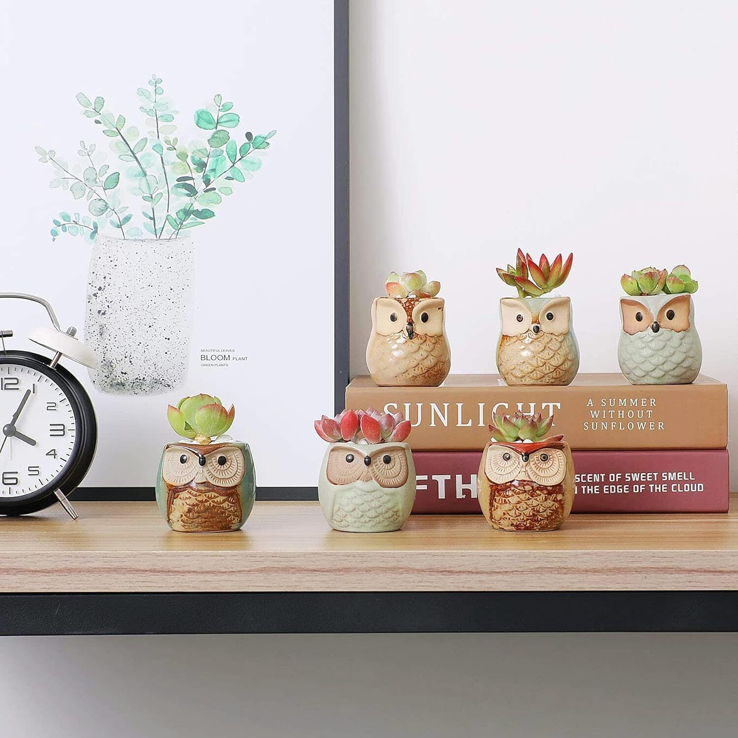 Set of 12  Owl Ceramic 2.5 Inch Succulent Planter Pots with Drainage Hole