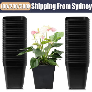 SpringUp Plastic Plant Flower Pots Nursery Seedlings Garden Plant Pot Container