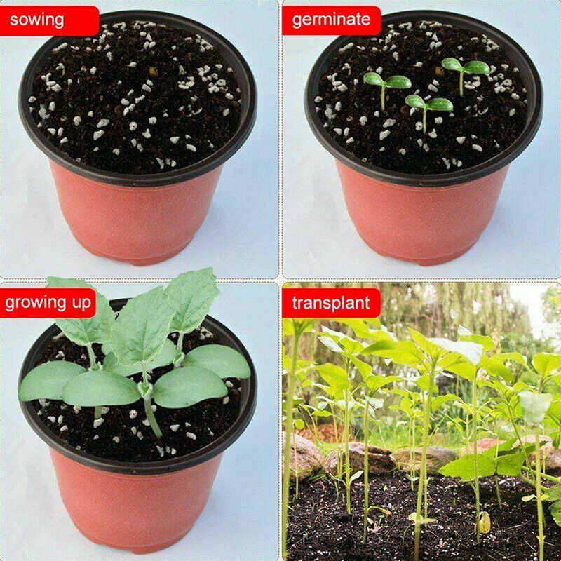 100x Plastic Plant Flower Garden Pots Nursery Seedlings Pot Growing Container AU