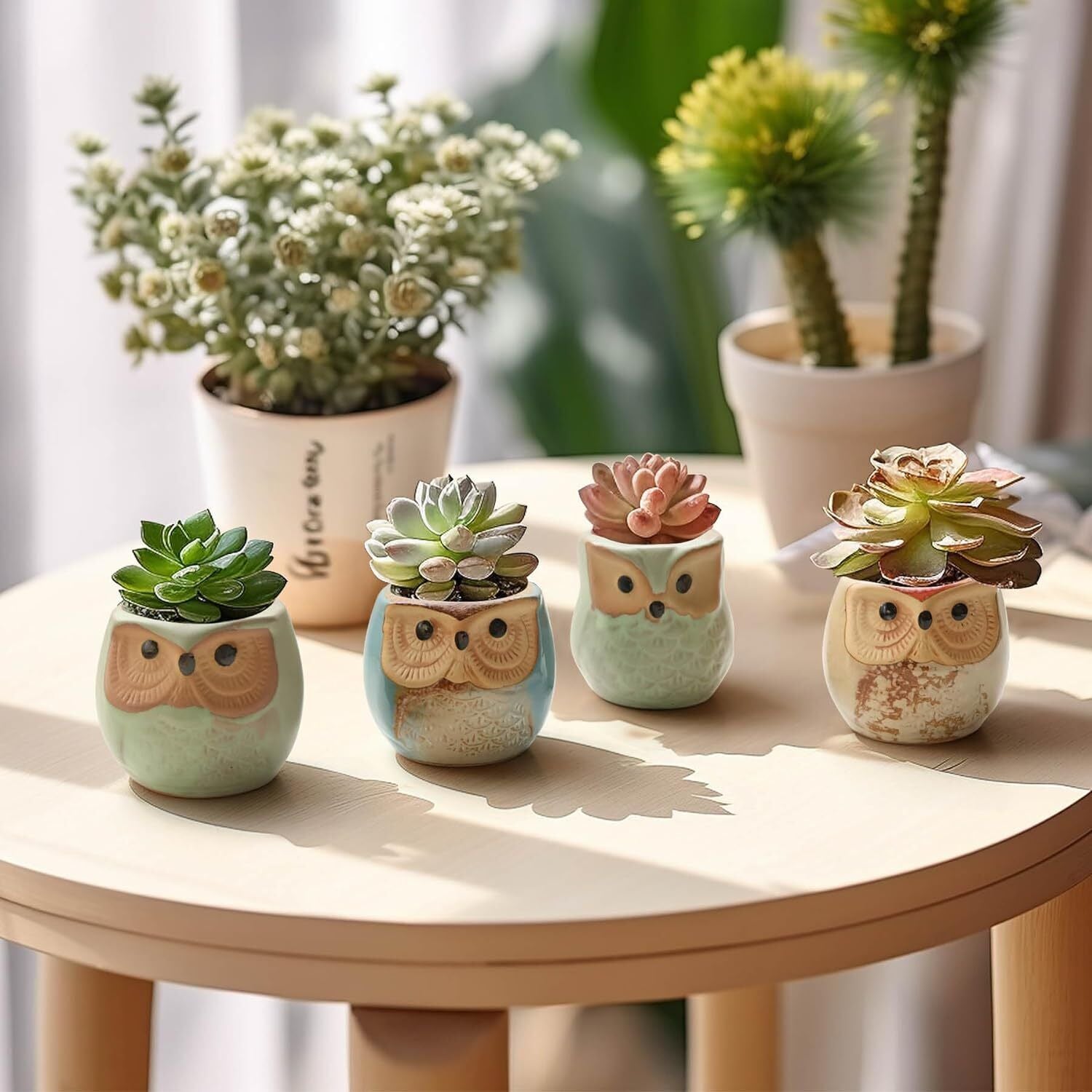 Set of 12  Owl Ceramic 2.5 Inch Succulent Planter Pots with Drainage Hole