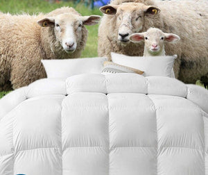 King Luxury Winter Summer Aus Merino Wool Quilt Duvet Doona  500GSM