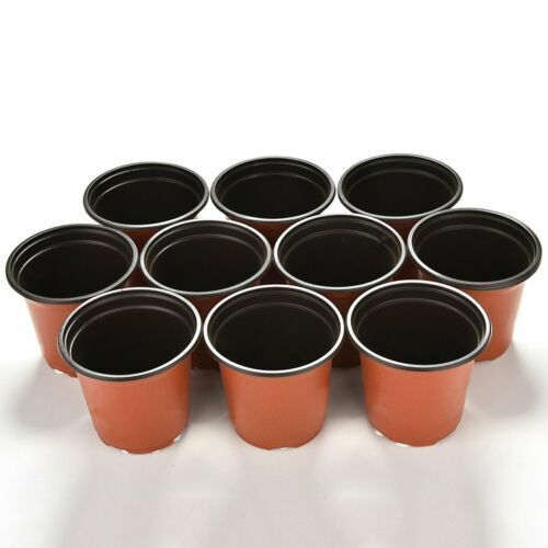 100x Plastic Plant Flower Garden Pots Nursery Seedlings Pot Growing Container AU