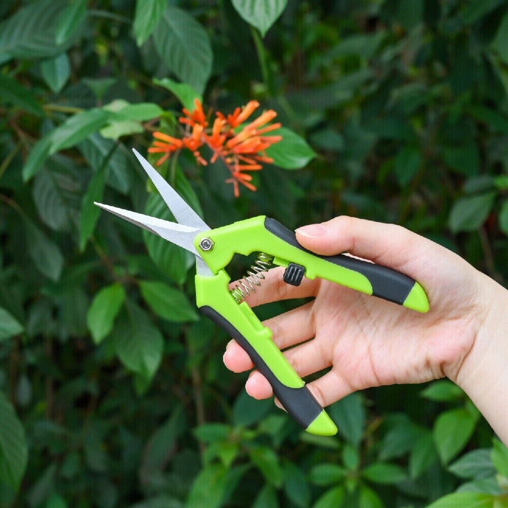 2PCS Pruning Shears Plant Scissors Trim Trees Snips Branch Garden Secateurs