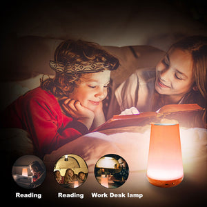 Touch Control LED Bedside Lamp Night Light Table Desk USB Dimmable Rechargeable