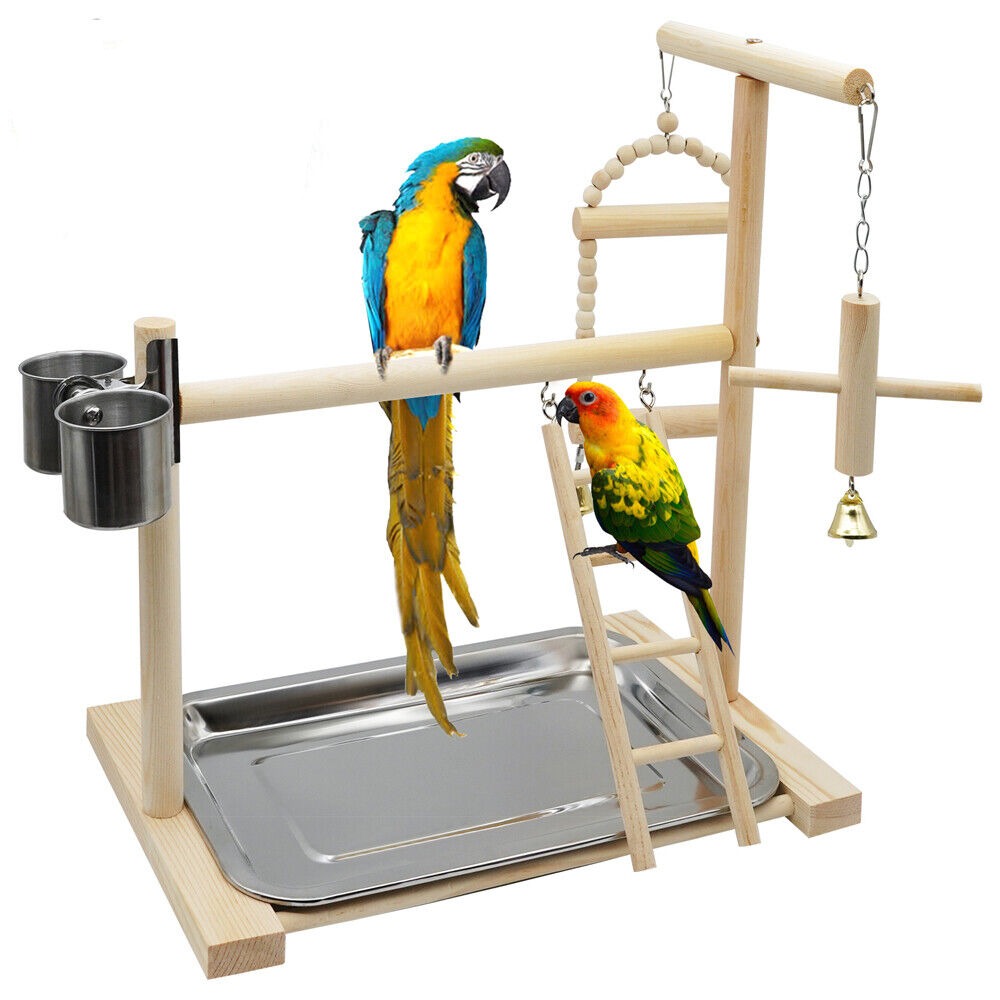 Bird Play Stand Cockatiel Playground Wood Perch Gym Toys Parrot Hanging