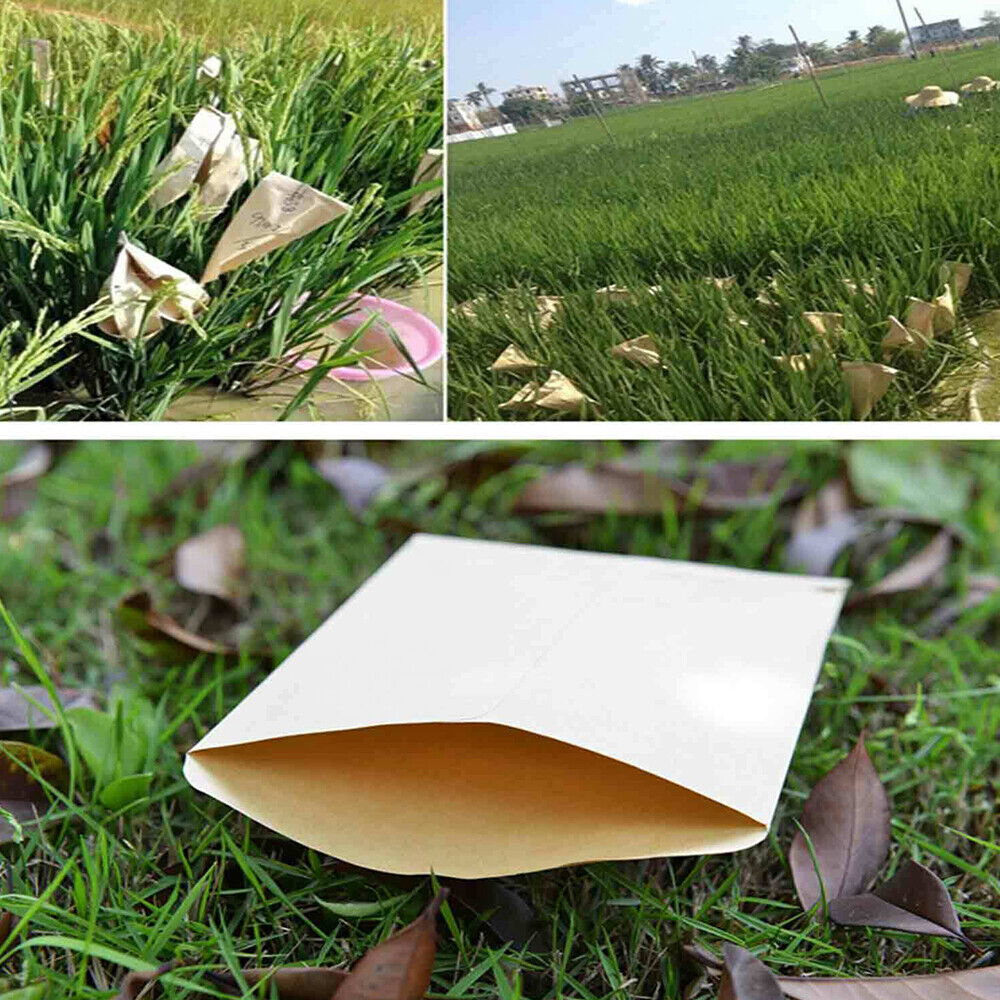 200PCS  Packets Mini Envelopes Kraft Paper Seed Bags Garden Home Storage Bags