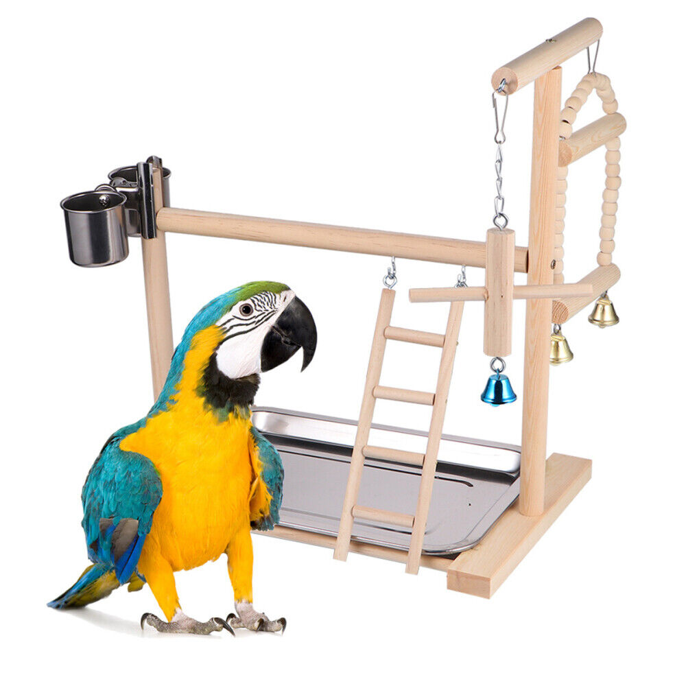 Bird Play Stand Cockatiel Playground Wood Perch Gym Toys Parrot Hanging