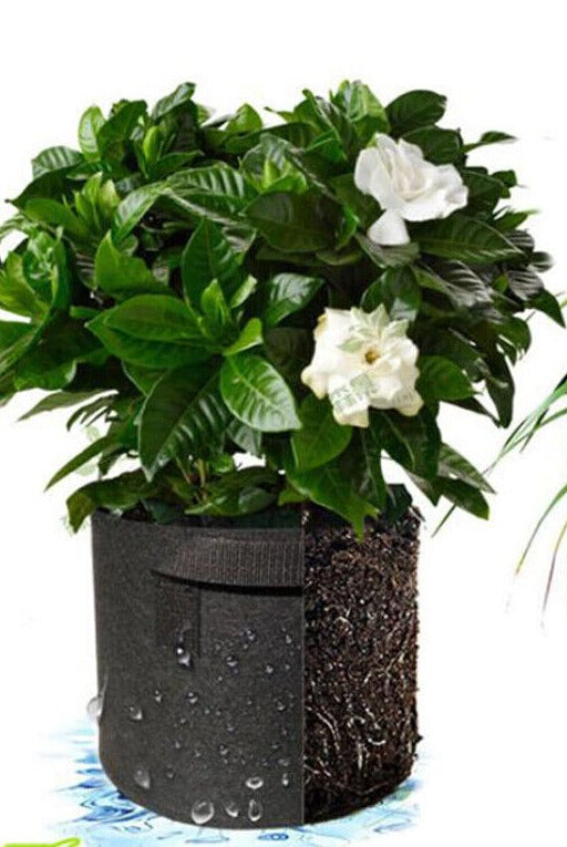 10 Fabric Grow Pots Breathable Planter Bags 7 Gallon Bags