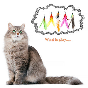 12PCS Kitten Cat Feather Toy Bell Wand Teaser Rod Interactive Play Pet Gift Toys