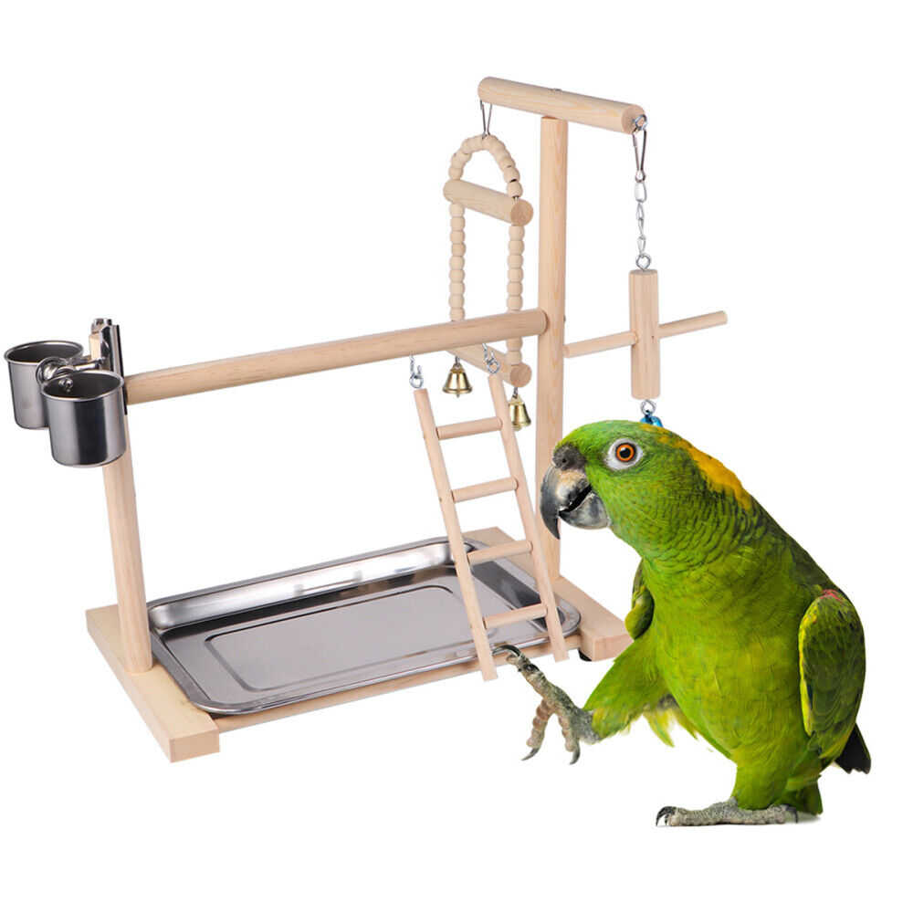 Bird Play Stand Cockatiel Playground Wood Perch Gym Toys Parrot Hanging