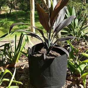 10 Fabric Grow Pots Breathable Planter Bags 7 Gallon Bags