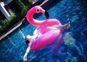 Inflatable Dia.120cm Giant Flamingo Swimming Ring Float Raft Pool Beach