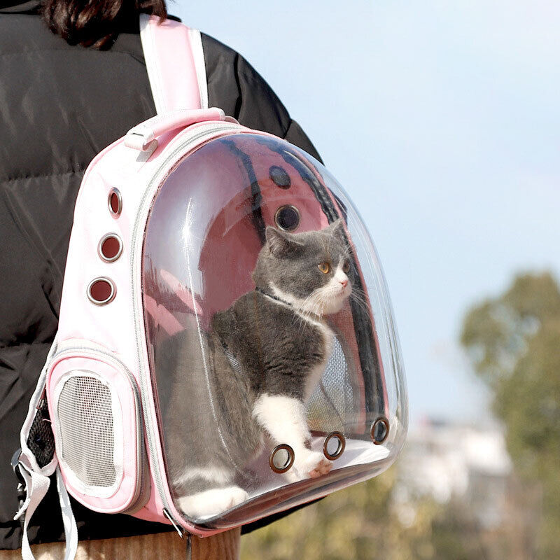 New Cat Dog Breathable Pet Carrier Bag Outdoor Travel Transparent Space Backpack